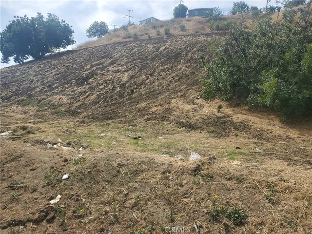 a view of a dry yard with trees