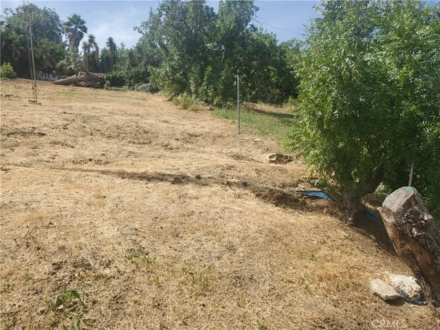 a view of a yard with a tree