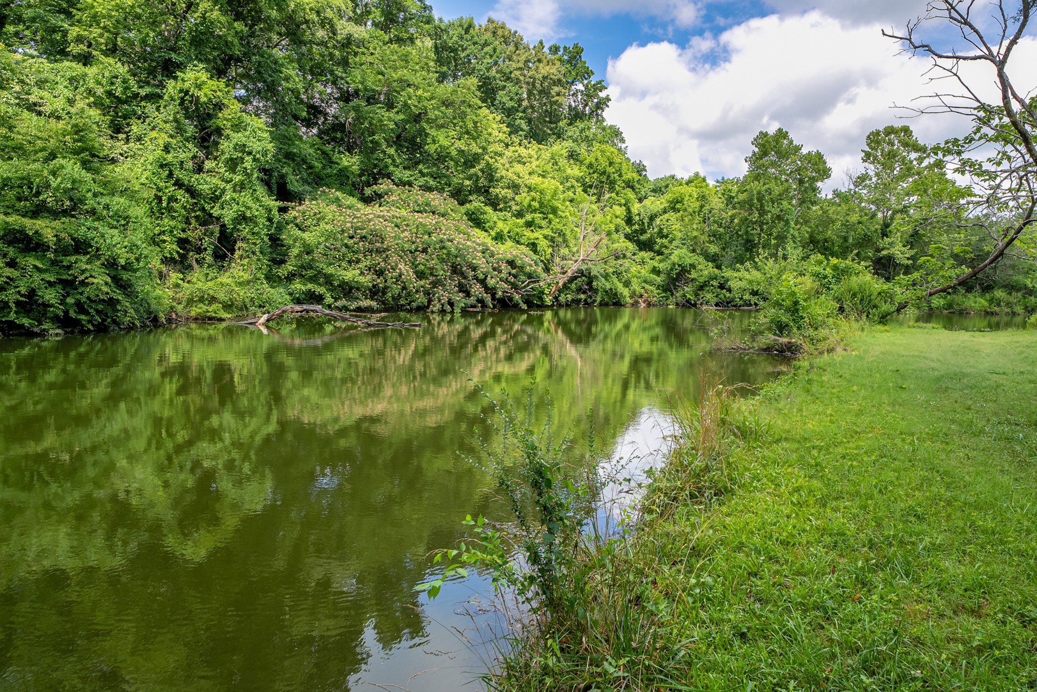 270 Wood Bluff Road Winchester, TN 37398 - Photo 11 of 69