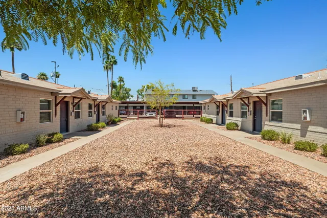 a row of palm trees in front of a house