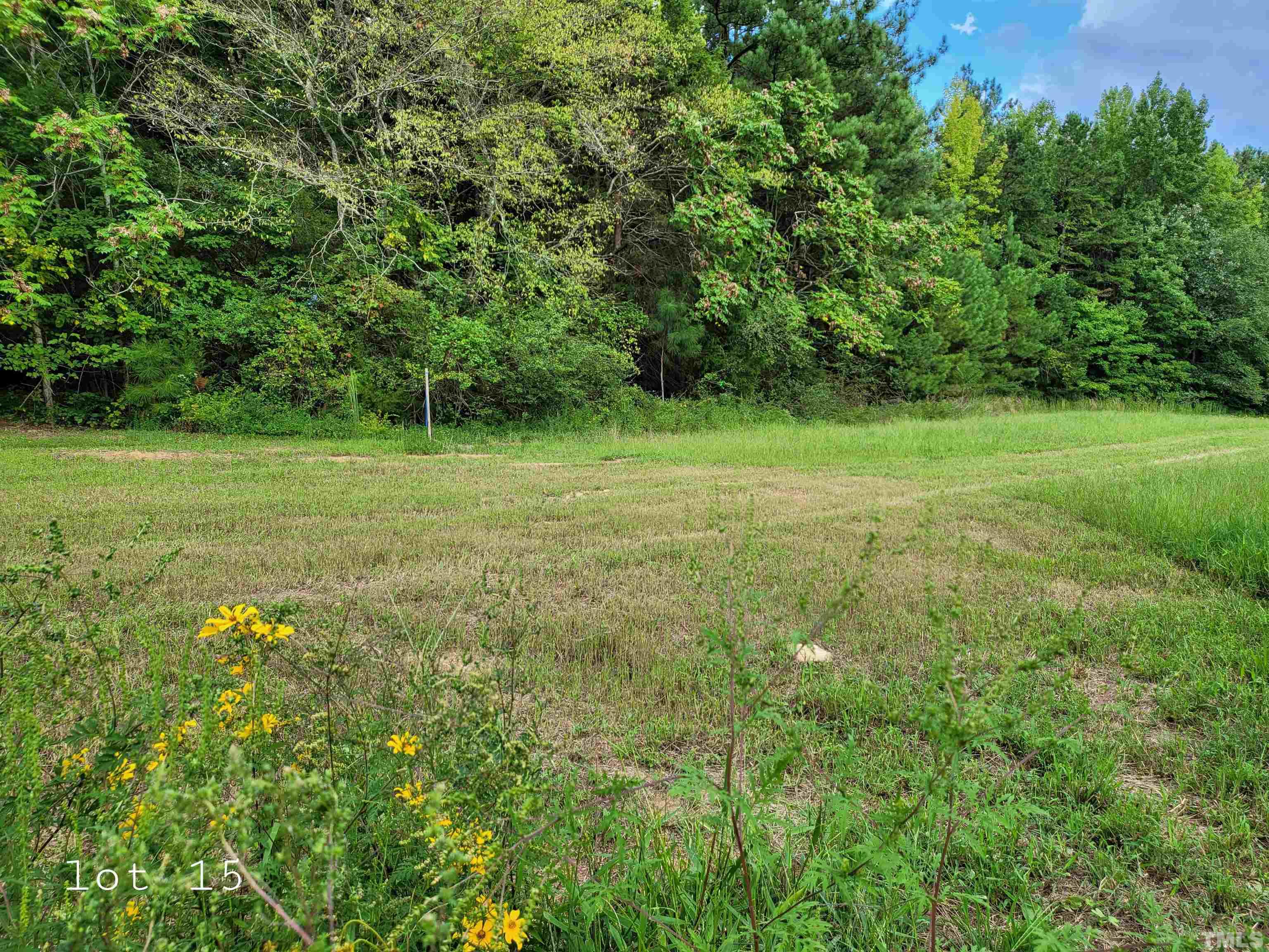 Lot 15 Allensville Road Roxboro, NC 27574 - Photo 3 of 12 a big yard with lots of green space and deers