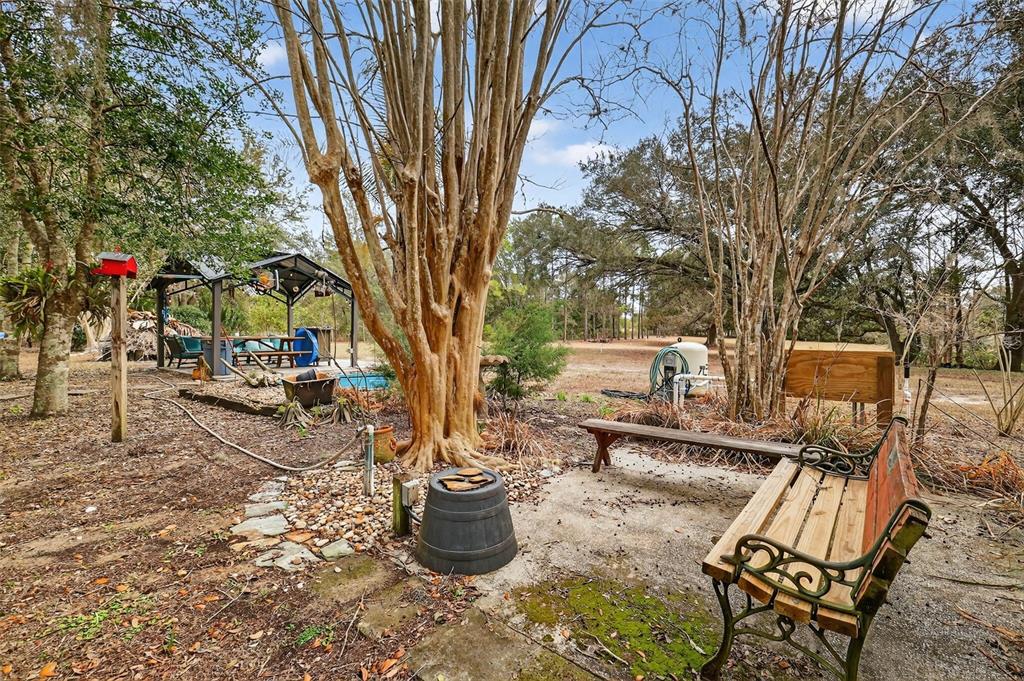 40635 Thomas Boat Landing Road Umatilla, FL 32784 - Photo 16 of 44