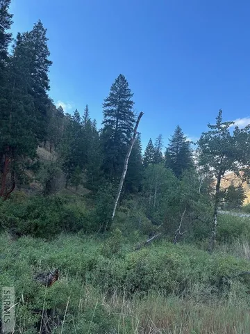 $41,500 | 93 North North Fork, North Fork, ID 83466