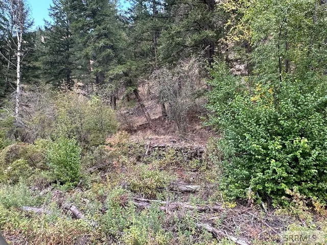 $41,500 | 93 North North Fork, North Fork, ID 83466