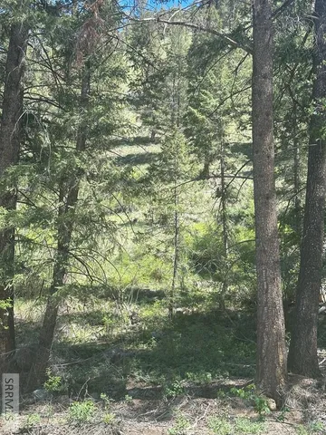 $41,500 | 93 North North Fork, North Fork, ID 83466