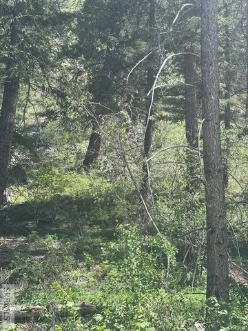 $41,500 | 93 North North Fork, North Fork, ID 83466