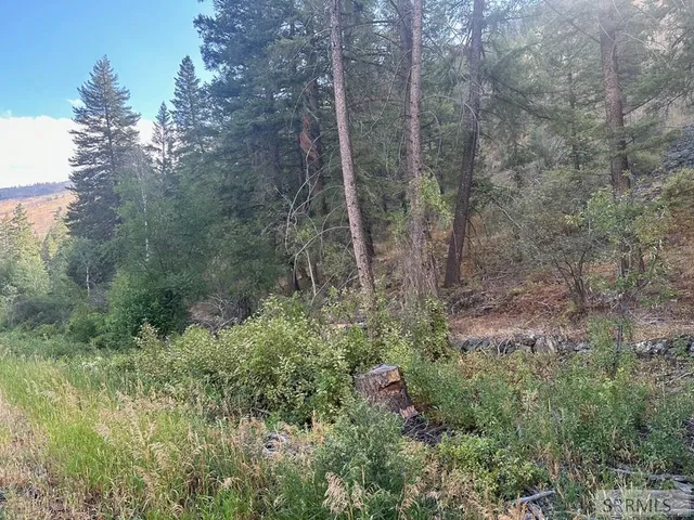 $41,500 | 93 North North Fork, North Fork, ID 83466