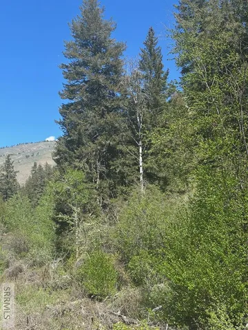 $41,500 | 93 North North Fork, North Fork, ID 83466