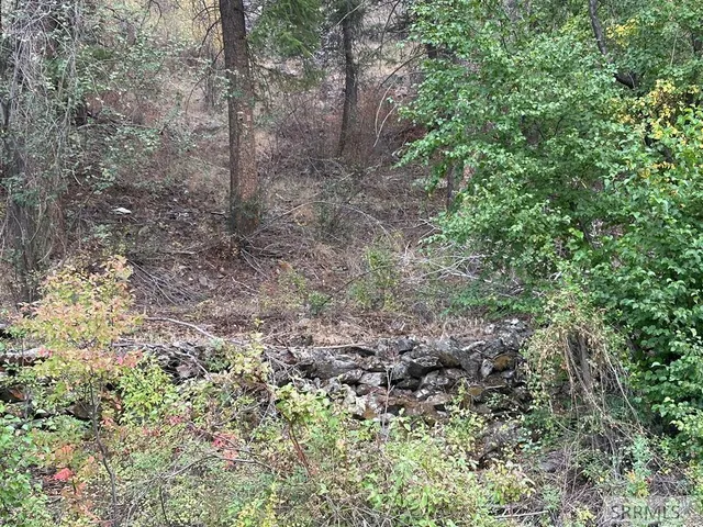 $41,500 | 93 North North Fork, North Fork, ID 83466