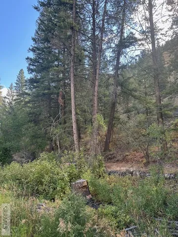 $41,500 | 93 North North Fork, North Fork, ID 83466