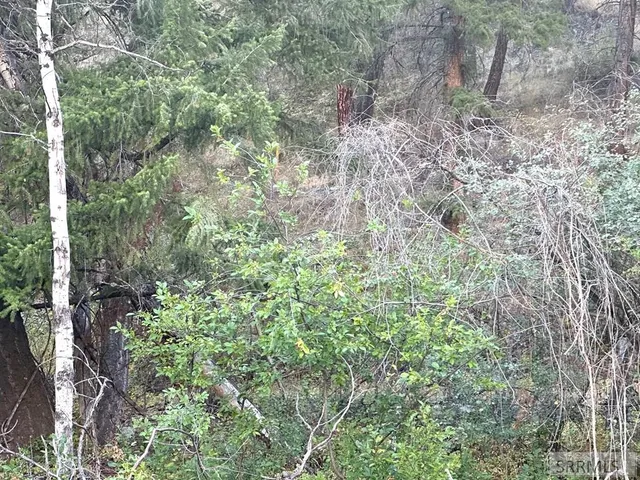 $41,500 | 93 North North Fork, North Fork, ID 83466