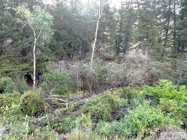 $41,500 | 93 North North Fork, North Fork, ID 83466