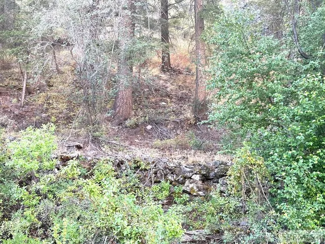 $41,500 | 93 North North Fork, North Fork, ID 83466