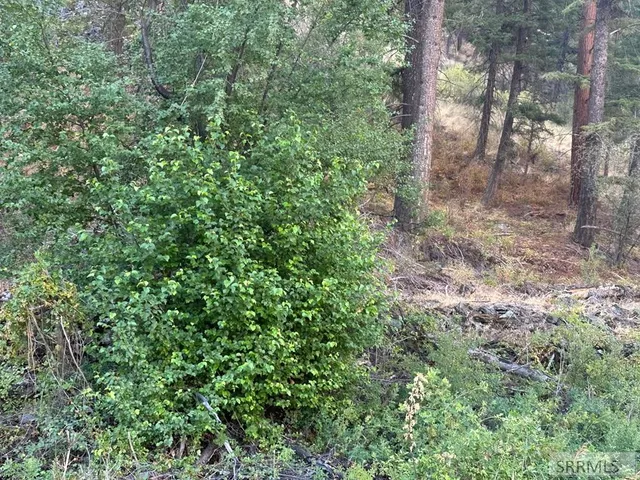 $41,500 | 93 North North Fork, North Fork, ID 83466