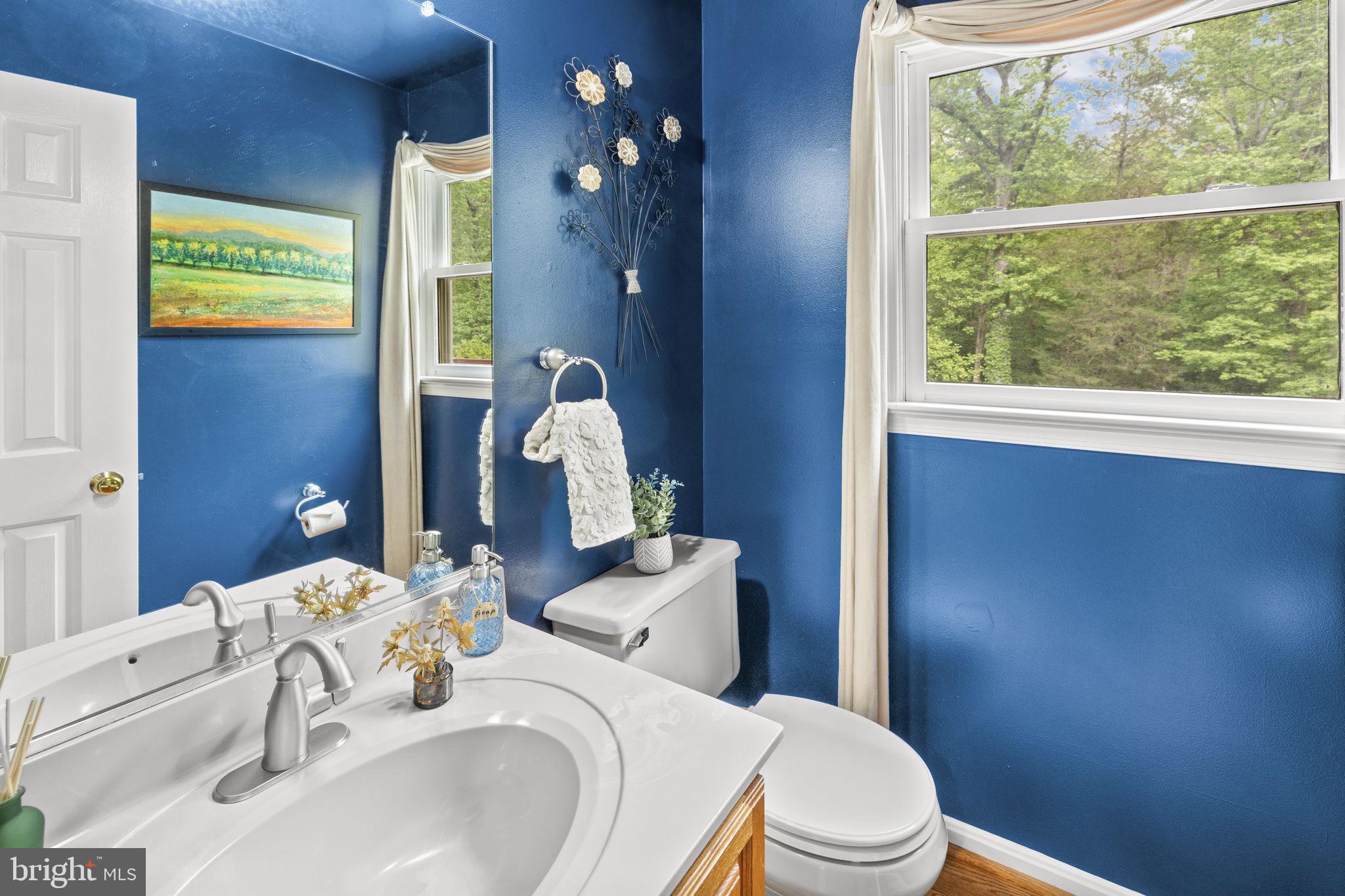 100 Boscobel Road Fredericksburg, VA 22405 - Photo 34 of 67 a bathroom with a sink and a mirror