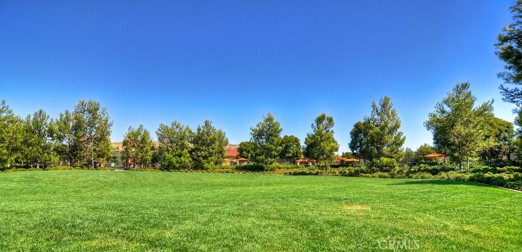 24 Tesoro Irvine, CA 92618 - Photo 63 of 75 a view of yard with swimming pool and trees in the background