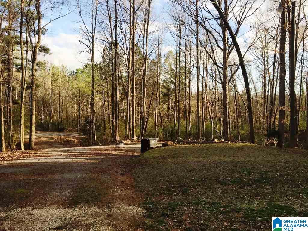 1540 Mountain Top Loop Road Pell City, AL 35128 - Photo 11 of 13