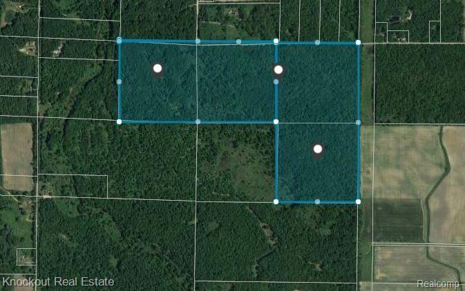 1000 West Kitchen Road Linwood, MI 48634 - Photo 3 of 34