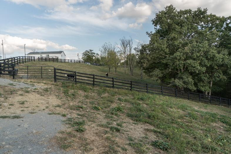 2790 Stringtown Road Corinth, KY 41010 - Photo 14 of 30 Gallery Image 14