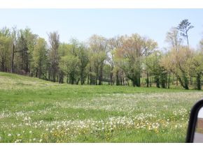 2 Treadway Road, Unit 2 Chuckey, TN 37641 - Photo 4 of 7 Photo 4