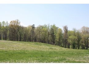 2 Treadway Road, Unit 2 Chuckey, TN 37641 - Photo 6 of 7 Photo 6