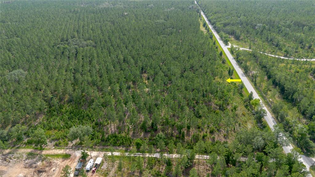 Northeast 90th Street Road Fort McCoy, FL 32134 - Photo 7 of 25