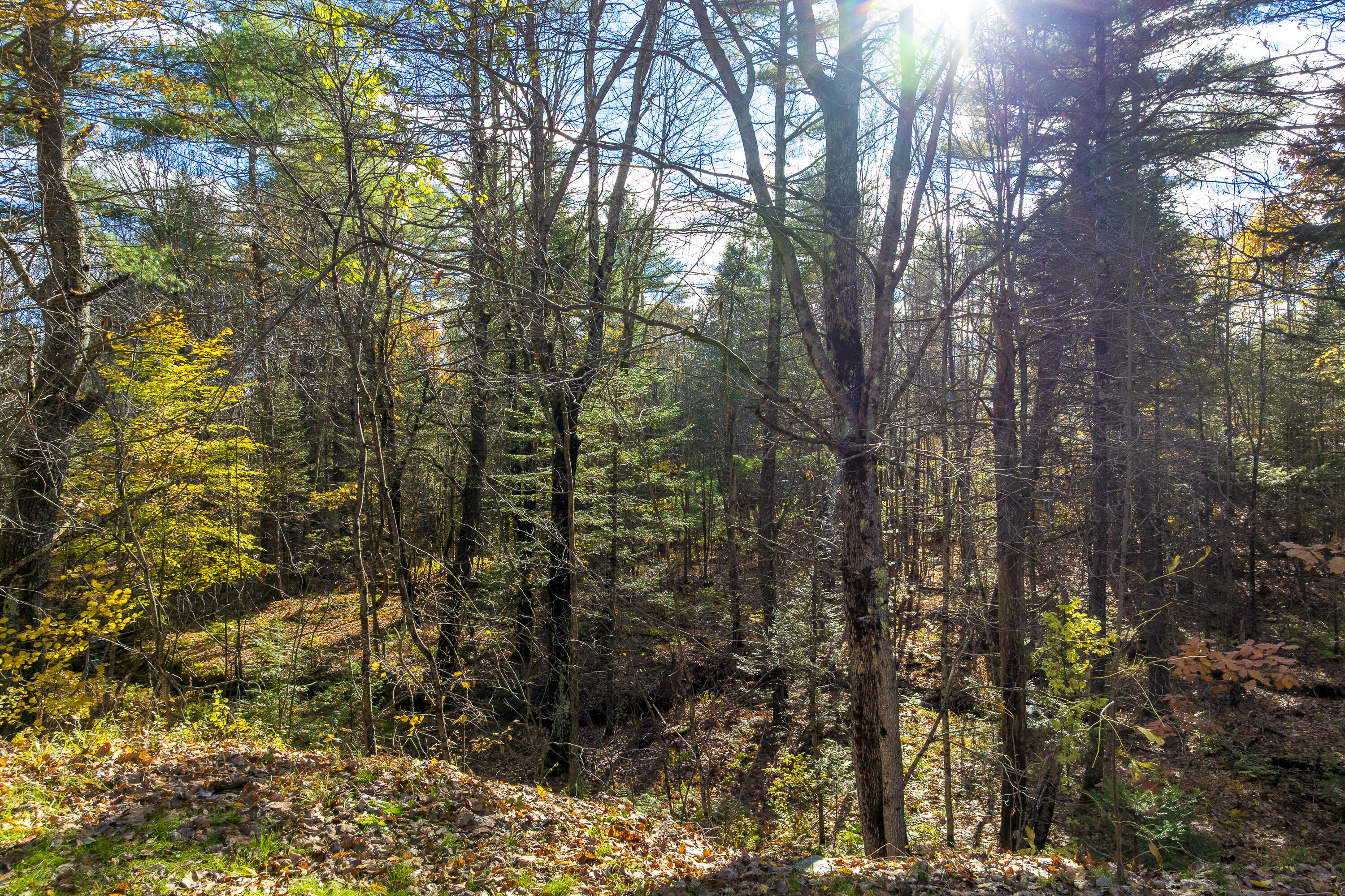 66 Hackett Mills Road Poland, ME 04274 - Photo 8 of 27 24-66 Hacket Mills Rd, Poland, ME-TP