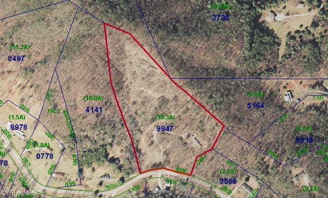 602 Buckwheat Road McGrady, NC 28649 - Photo 1 of 1 Main View