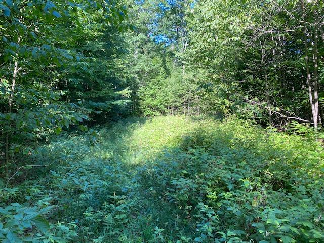 Seldon Road Petoskey, MI 49770 - Photo 6 of 21 Gallery Image 6
