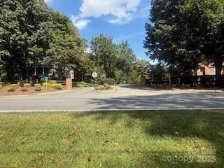a view of road with large trees