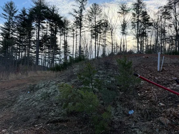 a view of backyard with green space