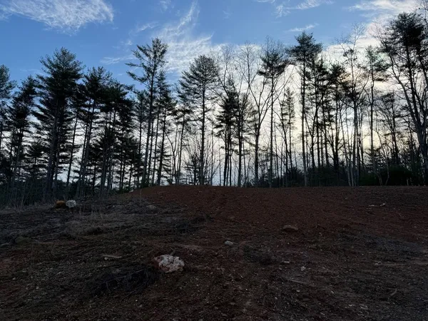 a view of outdoor space and yard