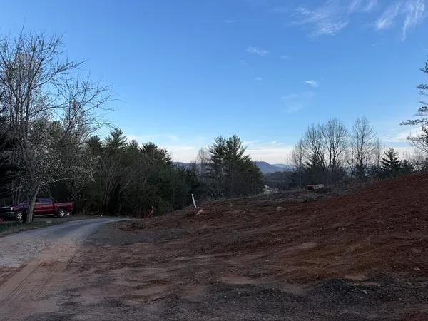 a view of outdoor space with trees
