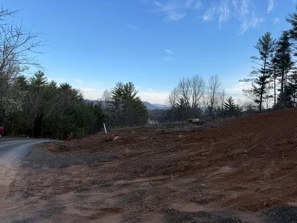 a view of a dirt road with trees in the background