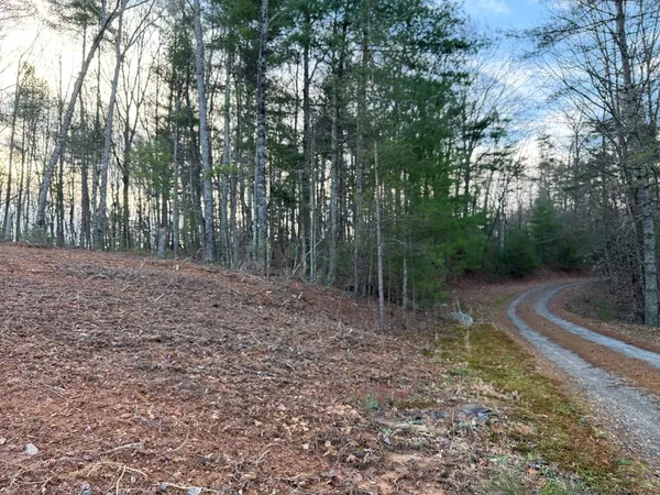 a view of a yard with trees in the background