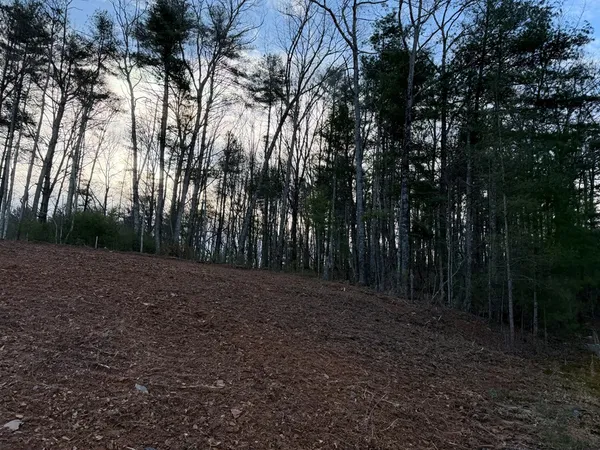 a view of backyard with green space