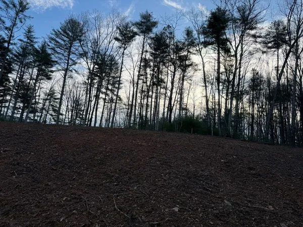 a view of outdoor space with trees