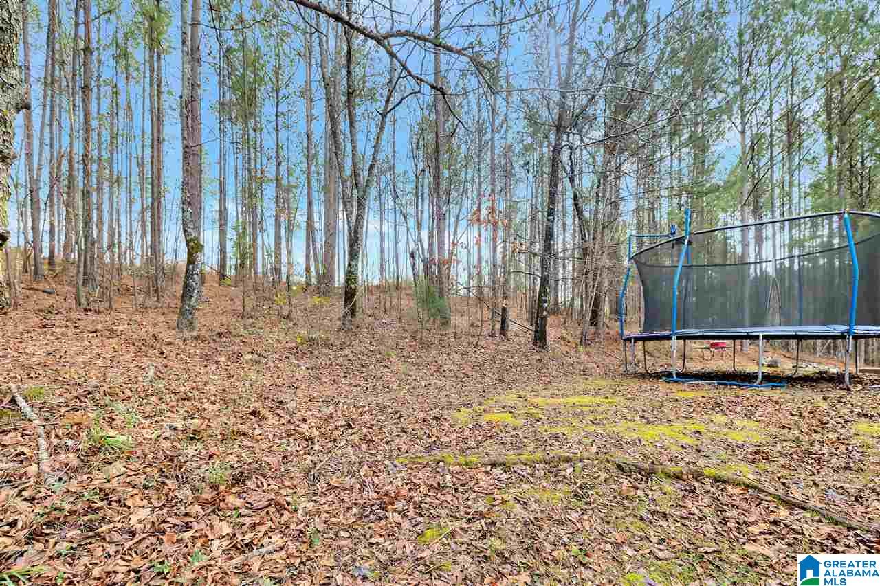 2109 Constellation Avenue Alpine, AL 35014 - Photo 6 of 44