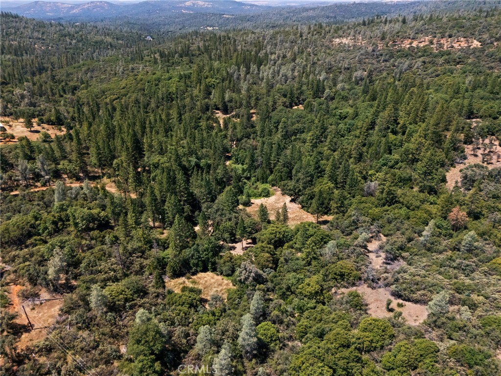 7859 Reed Lane Rackerby, CA 95972 - Photo 4 of 22