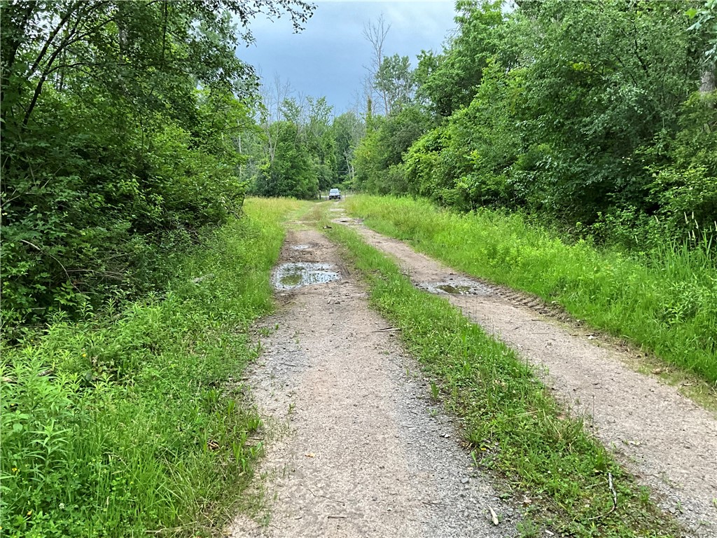 West Barre Road Albion, NY 14411 - Photo 11 of 16 Picture of the lane looking toward the front.