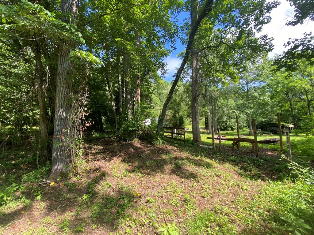 Lot 6 Nottley River Road Murphy, NC 28906 - Photo 22 of 22 Gallery Image 22