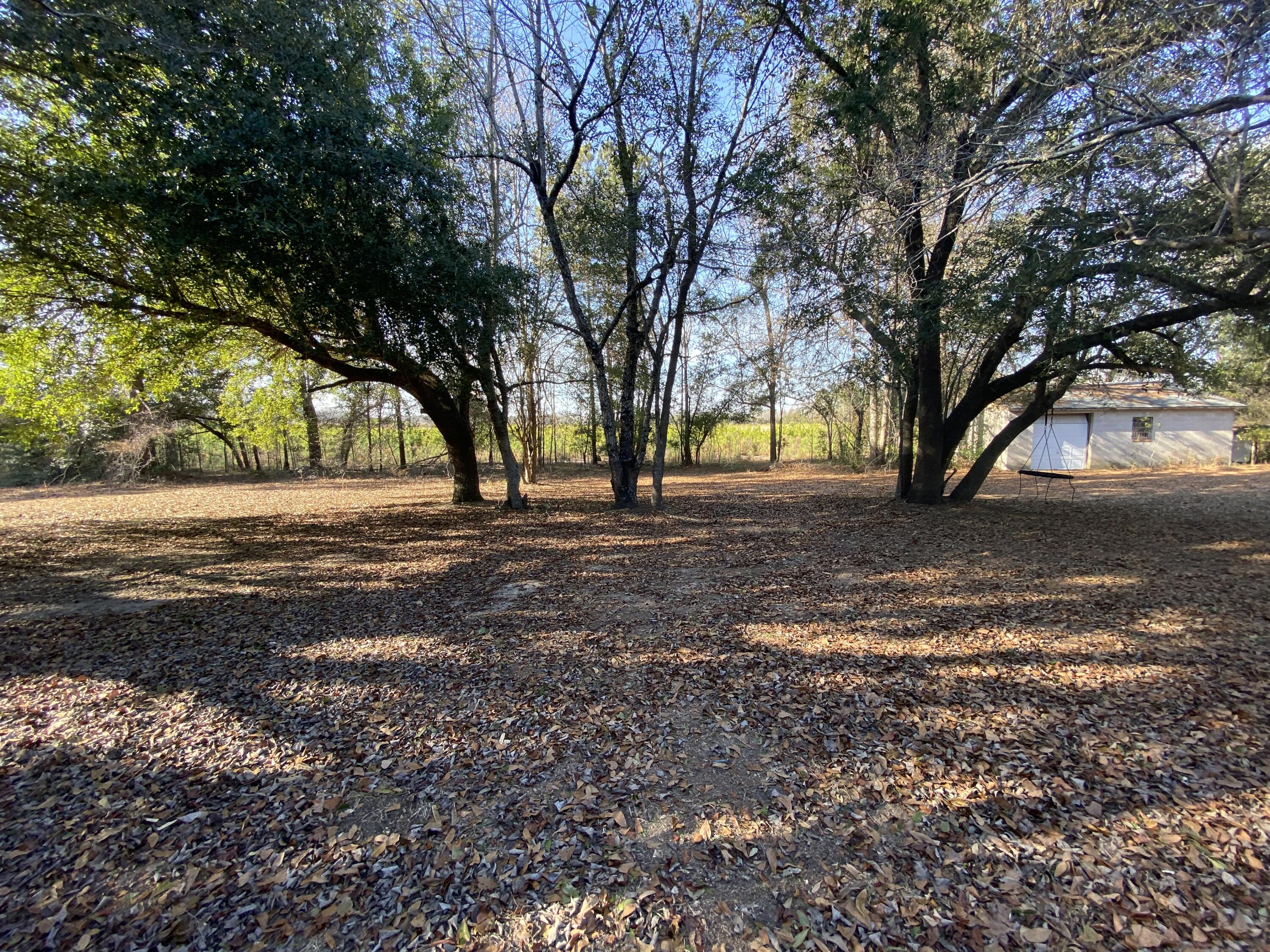 7901 Bay Street Williston, SC 29853 - Photo 7 of 11
