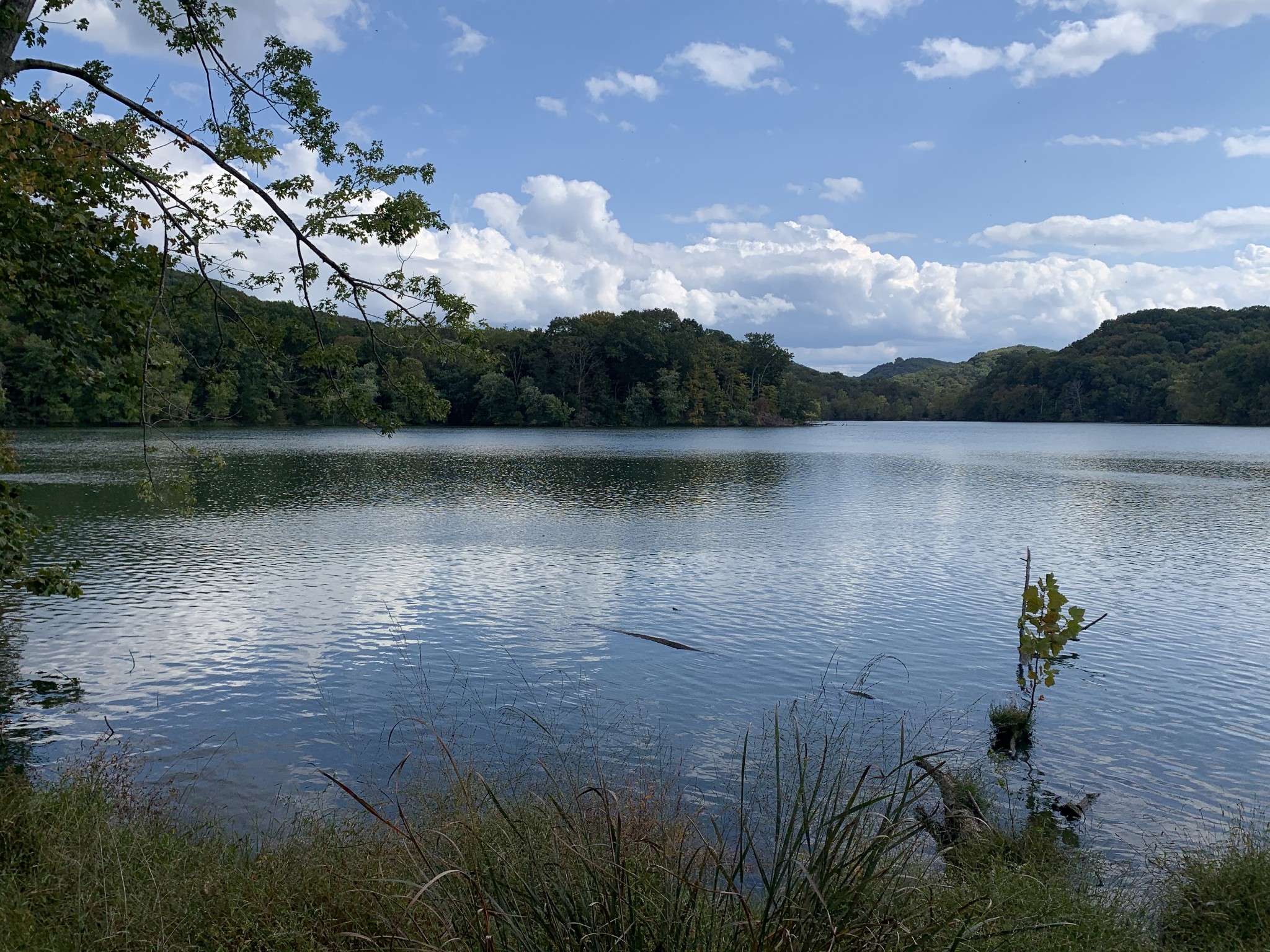 705 Hogan Road Nashville, TN 37220 - Photo 29 of 34 Gallery Image 29