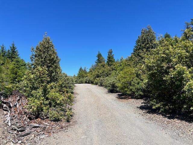 Three Creeks Road Blue Lake, CA 95525 - Photo 1 of 14