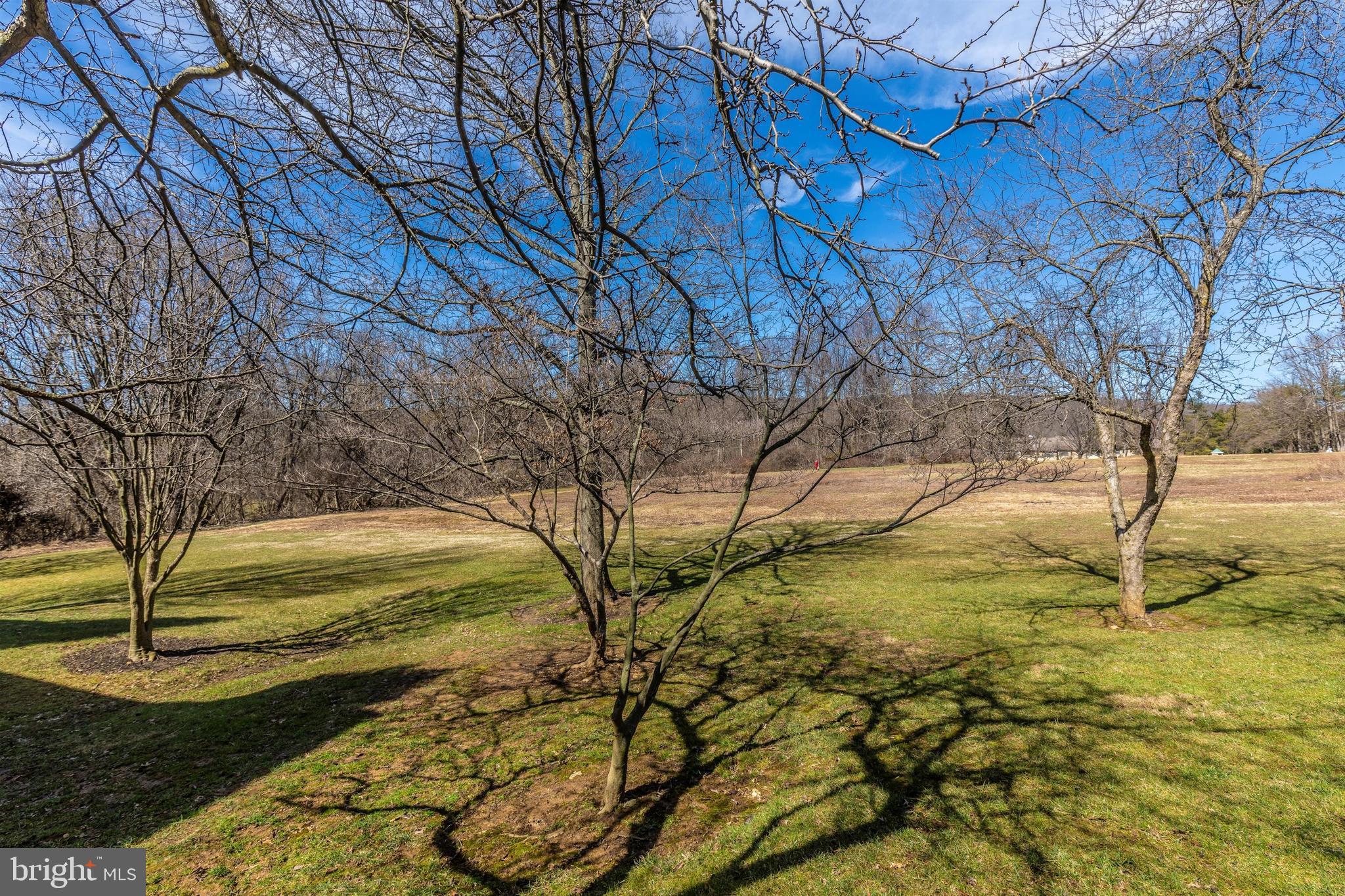 703 Mountainview Drive Chesterbrook, PA 19087 - Photo 31 of 51