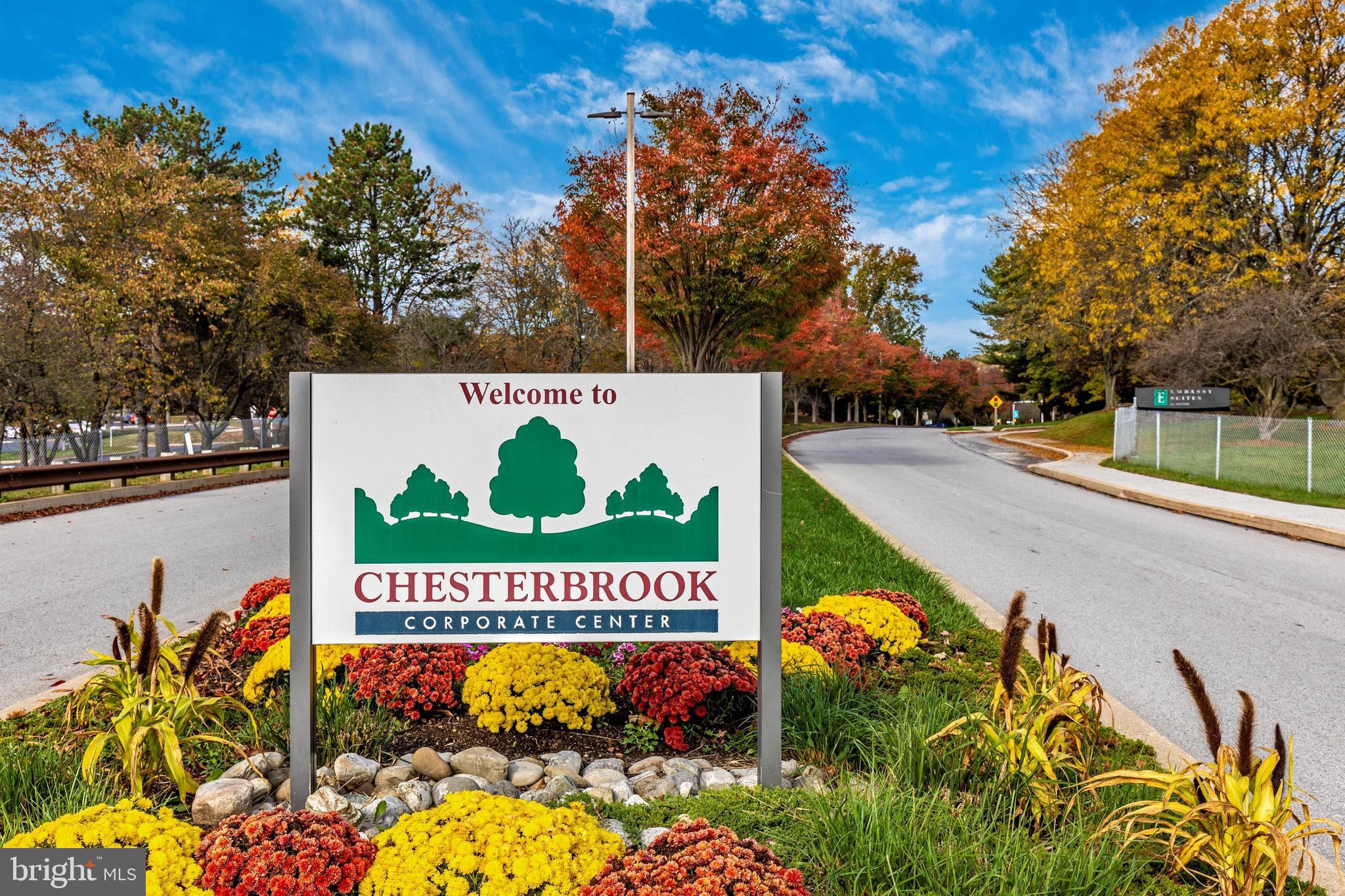 703 Mountainview Drive Chesterbrook, PA 19087 - Photo 41 of 51