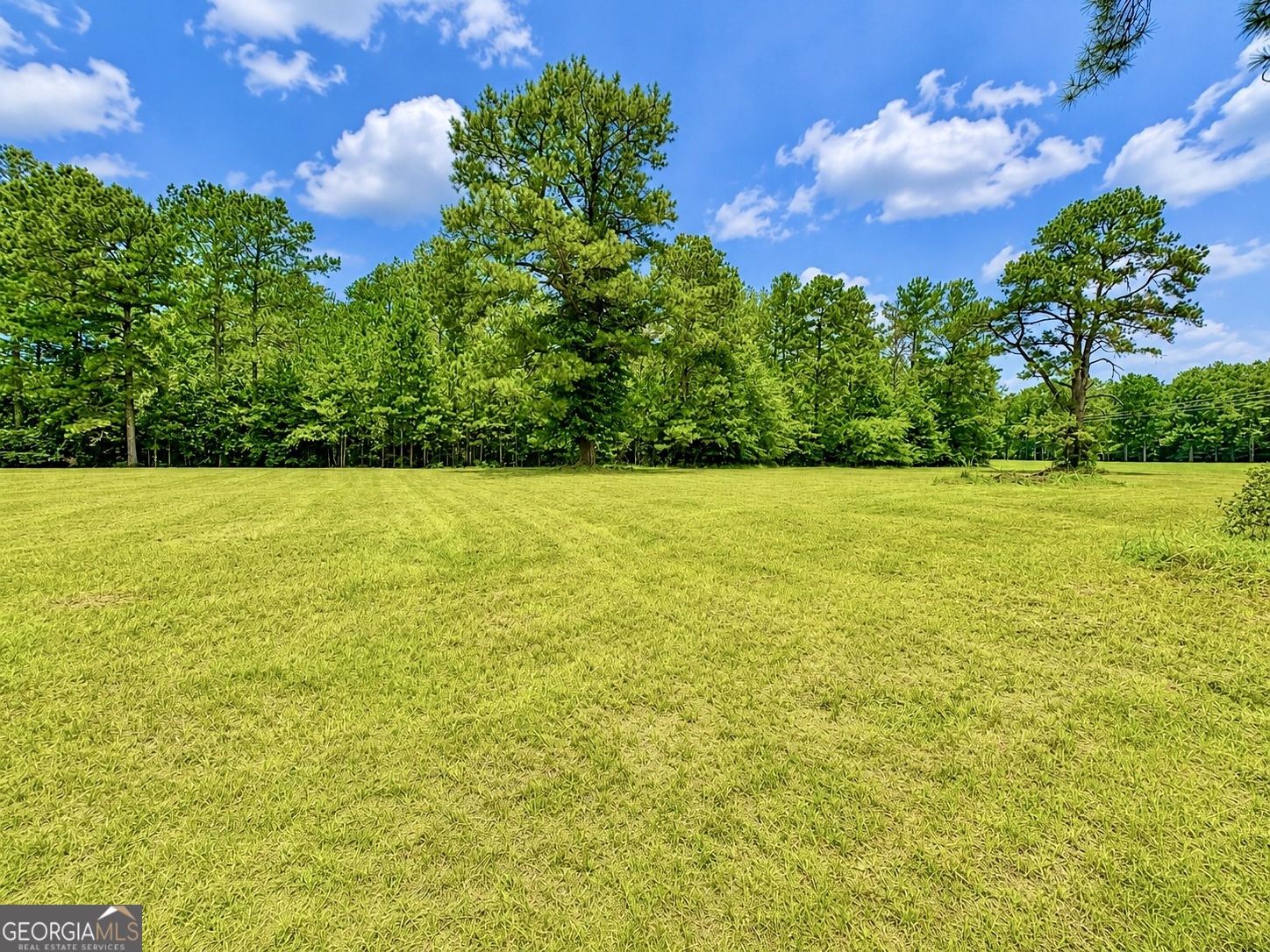 0 Evergreen Road Dublin, GA 31021 - Photo 3 of 16