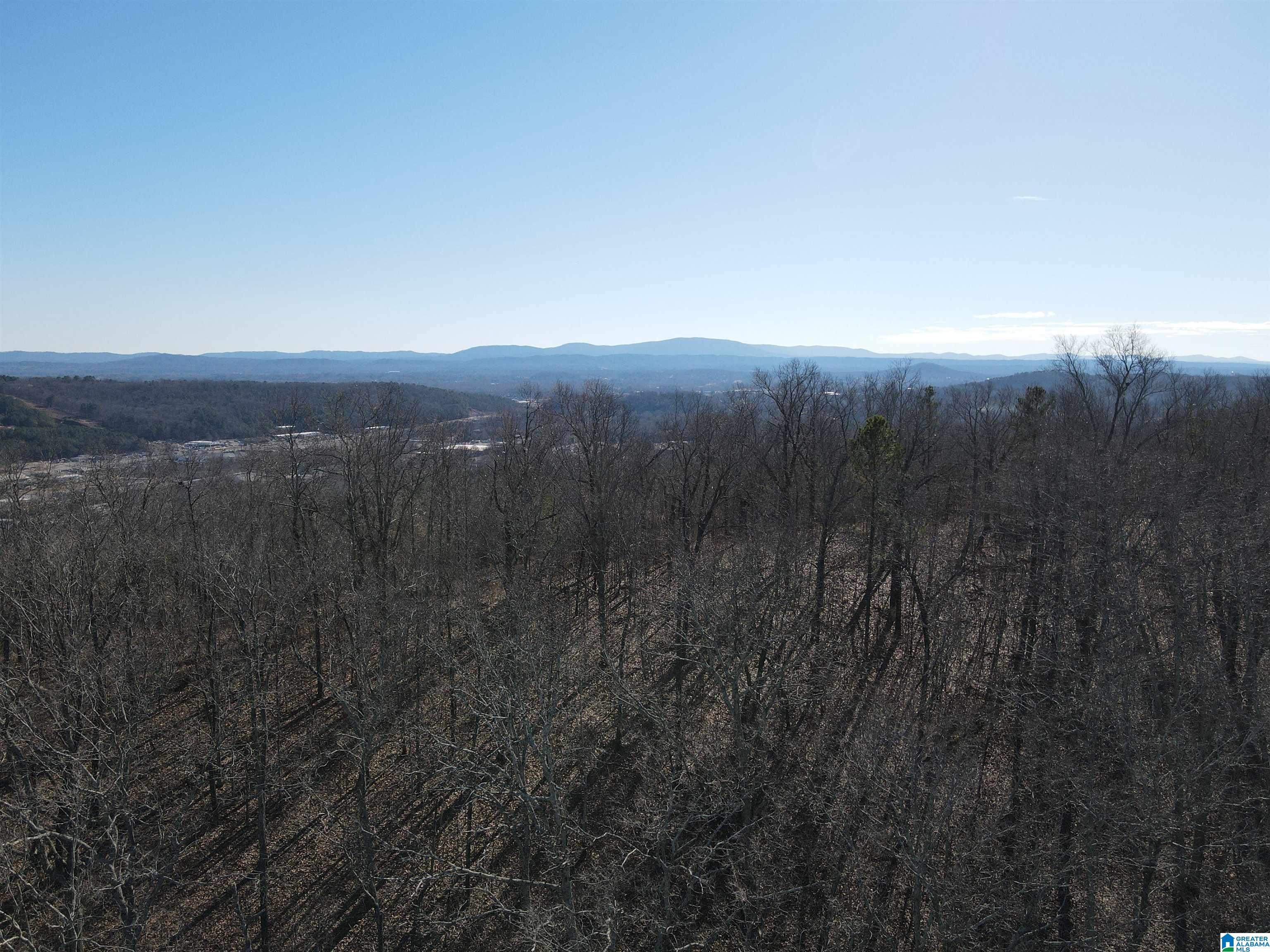 0 West 3rd Street, Unit 1 Anniston, AL 36201 - Photo 8 of 16