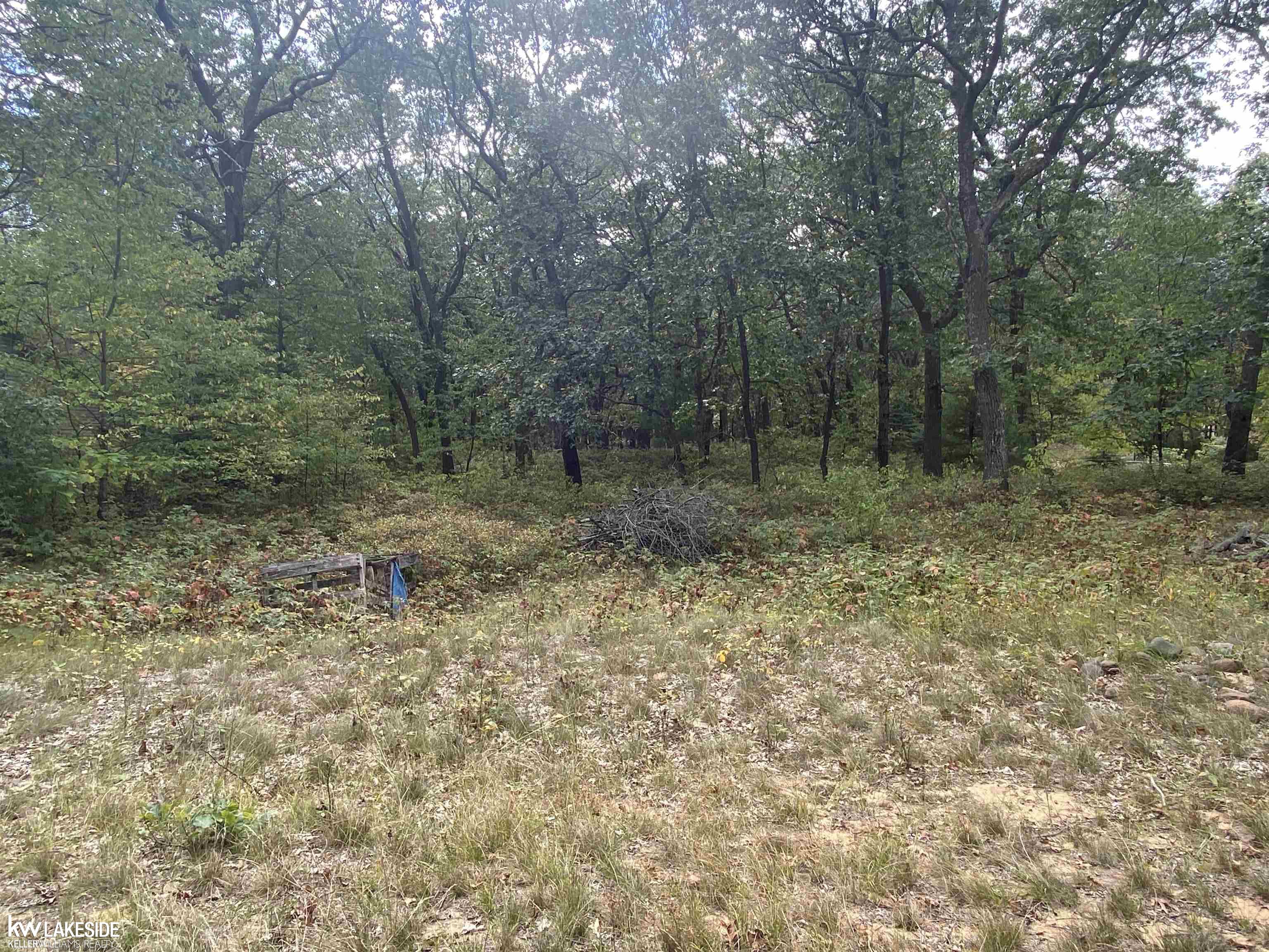 0 Port Austin Road Caseville, MI 48725 - Photo 1 of 6