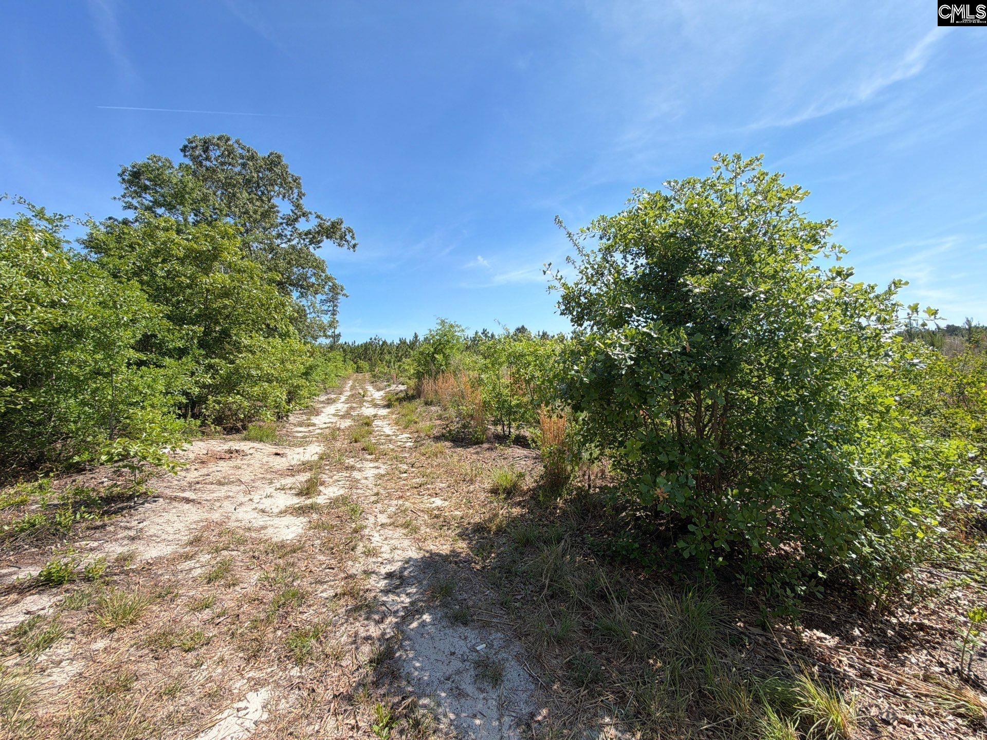 1 Holstein Road Monetta, SC 29105 - Photo 15 of 36